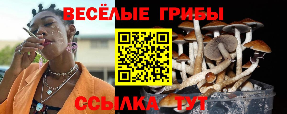 Можайск  Галлюциногенные грибы мицелий  купить   Вход с VPN  Галлюциногенные грибы Magic Shrooms 