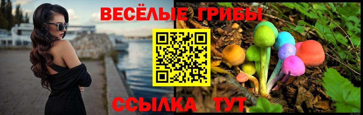 Псилоцибиновые грибы мухоморы Можайск