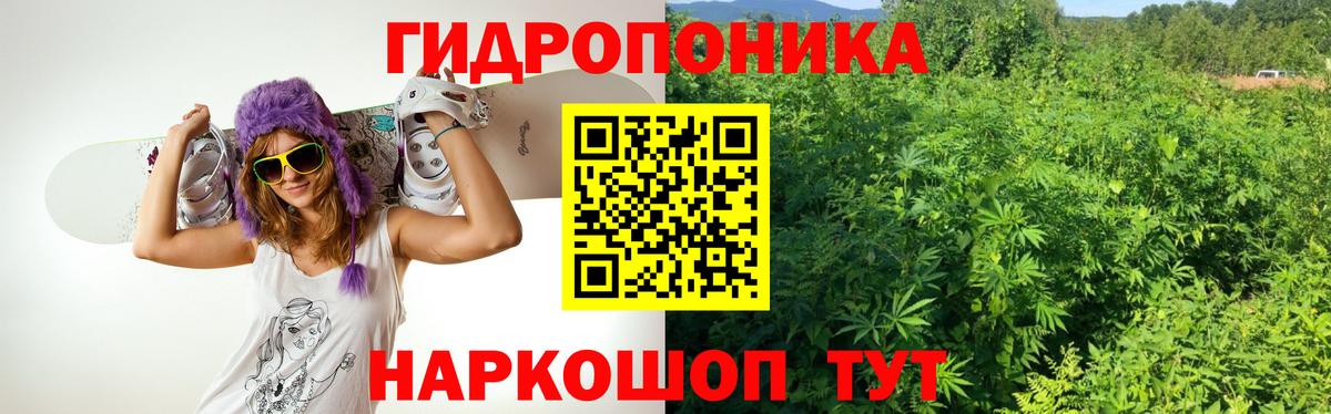 Конопля Bruce Banner Можайск